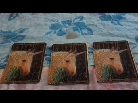 Magisches Wochenorakel Teil 1 vom 1.8 bis 7.8.16