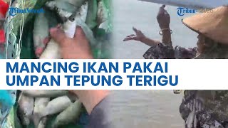 UNIK! Emak-emak Gunakan Tepung Terigu Sebagai Umpan Mancing Ikan, Tuai Pujian Warganet