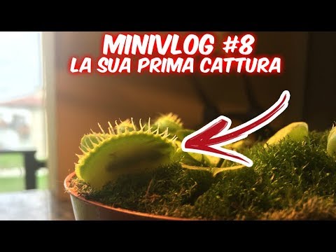 MiniVlog #8 La sua prima CATTURA