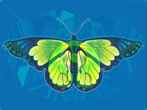 M Theory & Pixel - Receptor