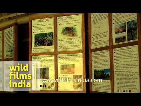 Pygmy Hog Conservation Centre in Assam, India