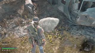 All Sarah's Gravestone Visits - Days Gone