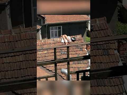 Rare Photos You've Never Seen Before [Part 133]