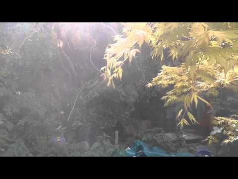 Landslide at Ffynnongroyw 12th May 2015