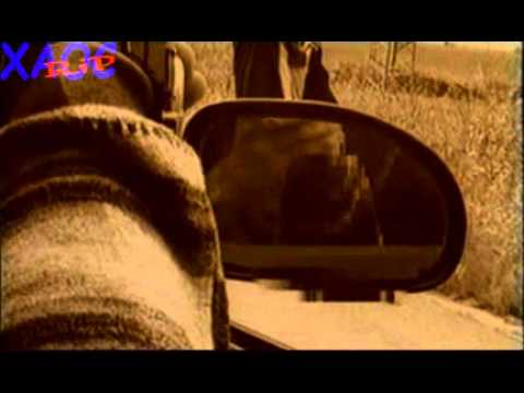 Rado Shisharkata - Beli ptici i kurshumi(backata).avi