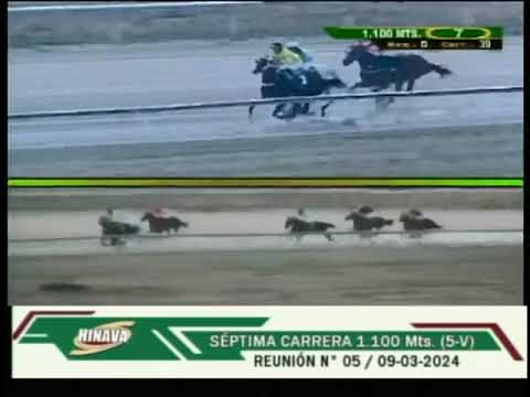 V39 | La Batalladora | Hipódromo Nacional de Valencia |  Reunión 05 |  2024