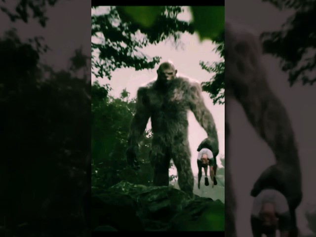 Vídeo relacionado con Misterioso Bigfoot Van Gogh Pueblo Nocturno Estrellado pacífico Sudadera con Capucha