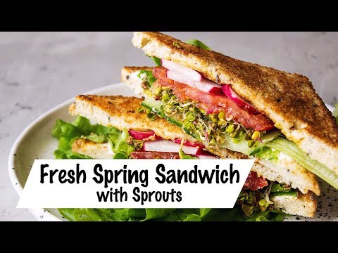 Fresh Spring Sandwich with Sprouts