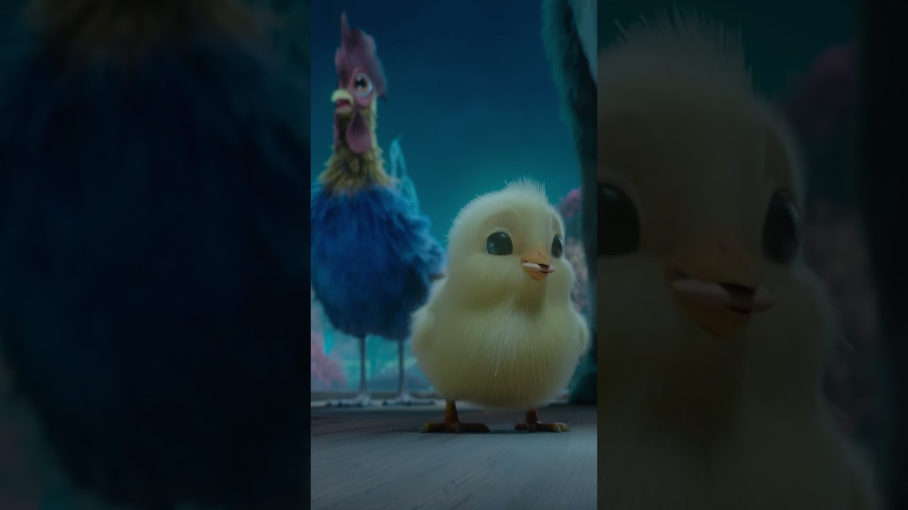 Video náhled