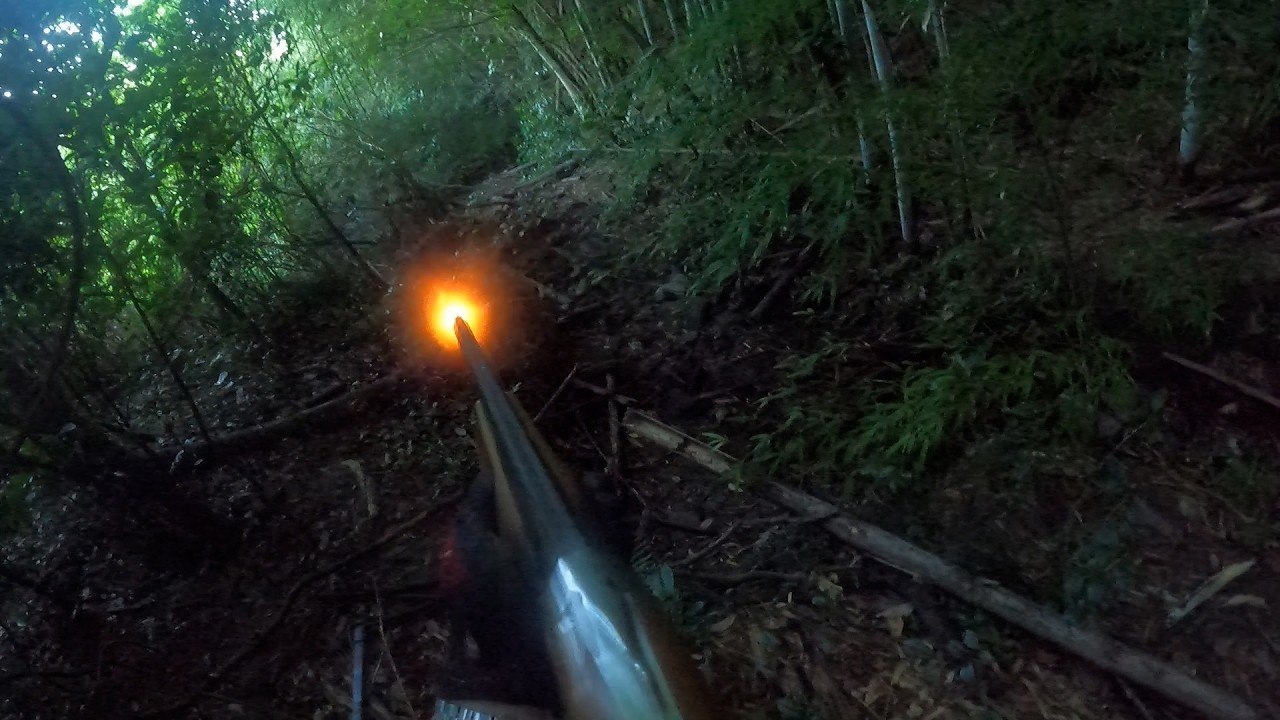 猪を誘い出して撃たせてくれる天才