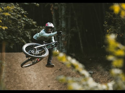 William Robert x Mavic