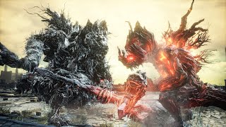 Stray Demon VS Fire Demon