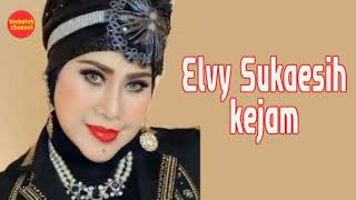 Download lagu Elvy Sukaesih - Kejam mp3