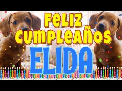 ¡Feliz cumpleaños Elida! (Perros hablando gracioso) ¡Muchas felicidades Elida!