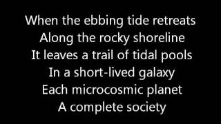Rush-Natural Science (Lyrics)