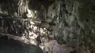 preview picture of video 'Mexico, Cenote Samula'