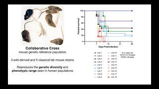 Host genetic determinants of Powassan virus pathogenesis - Brittany Jasperse