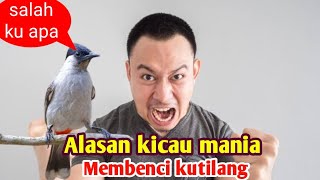 Download lagu INI PENYEBAB BURUNG KUTILANG DI BENCI KICAU MANIA, PEMAIN LOMBA BURUNG OCEHAN mp3