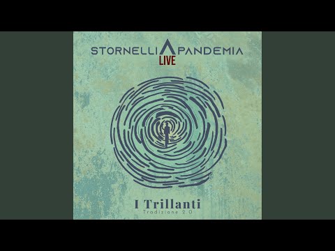 Pizzicarella / San Vito (feat. Livia Giaffreda)