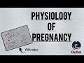 Physiology Of Pregnancy | Placenta | hCG, Estrogen, Progesterone || Reproductive Physiology