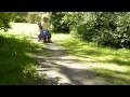 dantoy scooters
