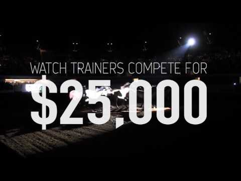 Extreme Mustang Makeover 2017 Massachusetts