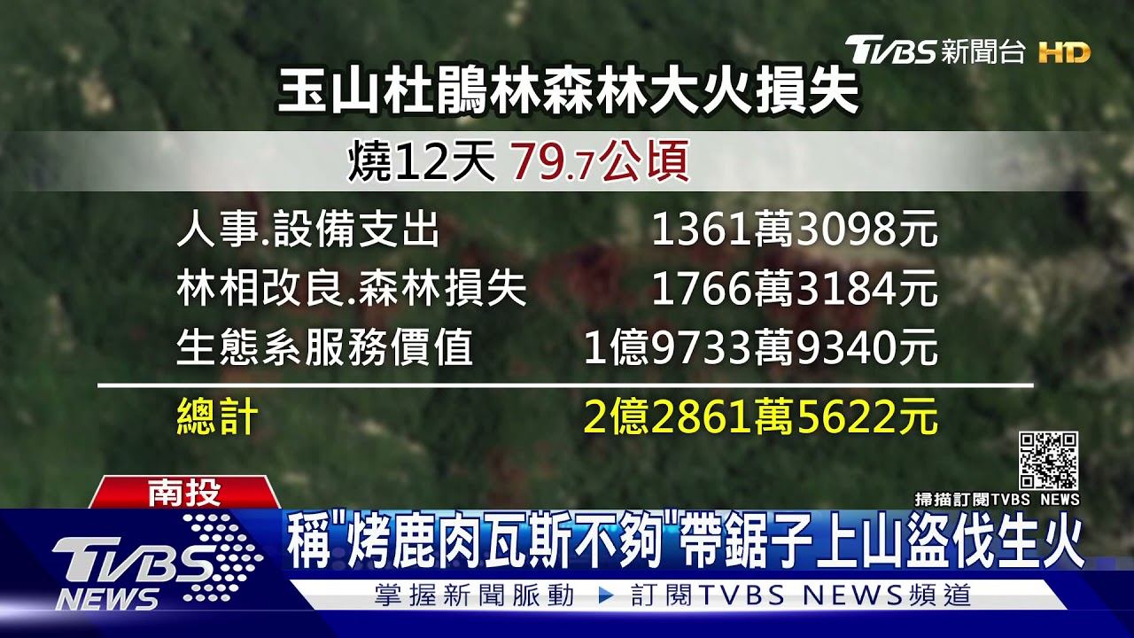帶鋸子上山盜伐生火　NCC前專委喬建中燒林2.28億