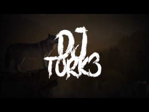 Skyyward Ft. AENEΛS & Scorpiioh - Agile (Dj_ToRk3 Free Release)