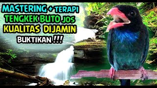 Download lagu MASTERAN TENGKEK BUTO DURASI PANJANG - TENGKEK BUTO SUARA JERNIH DENGAN GEMERICIK AIR mp3 Download lagu MASTERAN TENGKEK BUTO DURASI PANJANG - TENGKEK BUTO SUARA JERNIH DENGAN GEMERICIK AIR mp3