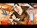 Hotel Transylvania 2012 Explained In Hindi Urdu Summarized हिन्दी