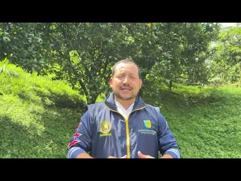 Hay alerta por inundaciones en los municipios del Urabá antioqueño