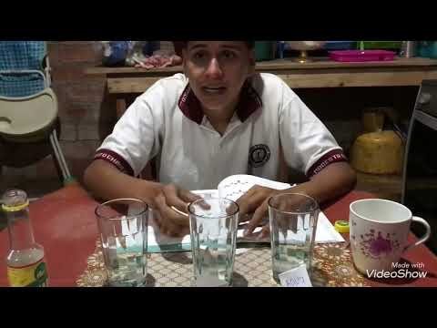 Efecto Del Ácido Acético Sobre las Rocas carbonatadas