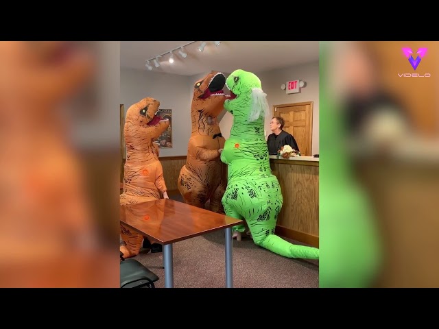 Pareja se casa disfrazada de dinosaurios; así fue el momento