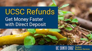 UCSC Refunds - Get Money Faster with Direct Deposit - UCSC SBS 10
