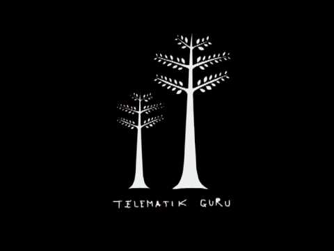 Telematik Guru - Dat
