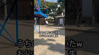 空飛ぶおじさん。 #shorts #jk #おじさんの日常