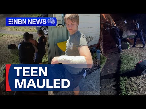 Three people mauled by out-of-control dog | 9 News Australia