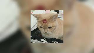 Cover art for Line without a hook sped up