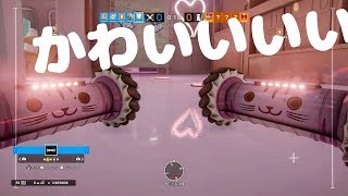 Mr.Bearと遭遇【Rainbow six siege】