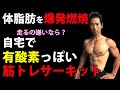 体脂肪を爆発燃焼!走るのが嫌いなら?自宅で有酸素運動っぽい?筋トレサーキットトレーニング!  自宅で筋トレ 腕立て伏せ・腹筋・脚・背中 お腹引き締め!