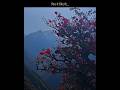 Shayad Ye Waqt Humse Koi Chaal Chal Gayaa Jagjit Singh Chitra Singh Ytshorts​ Shortvideo​