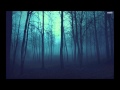 Jamie Woon - Wayfaring Stranger (Burial Mix ...