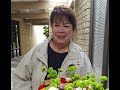 The Jerky Boys The Flower Lady Saga