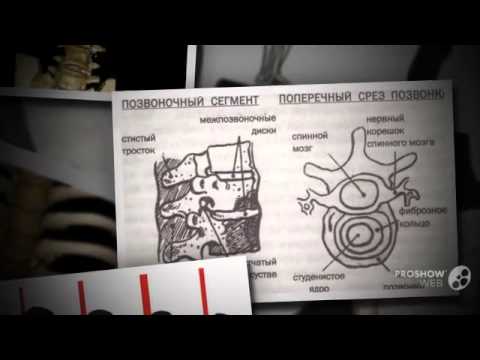 корректор осанки тонус эласт