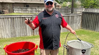 Mississippi Crawfish Boil  2024