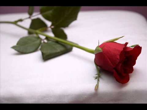 Szerelmes vers - Talán egy álom