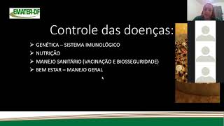 Miniatura do vídeo