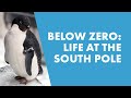 Antarctica Life At The South Pole