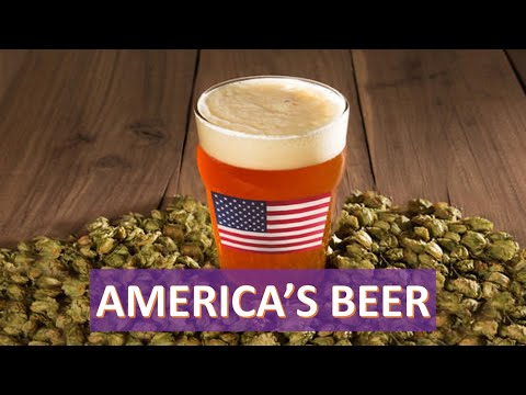 The Rise of the American IPA -- Craft Beer Economics