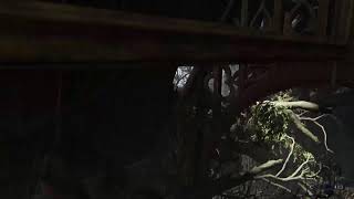[PS5/参加型]朝活ナイトレイン、戻って来てしまった深度5[#ナイトレイン]